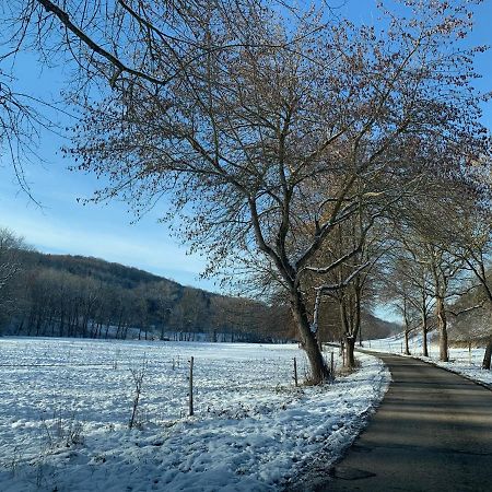 Gemuetliches Einfamilienhaus In Gera Mit 3 Schlafzimmern Mit Garten Und Parkplatz Екстериор снимка